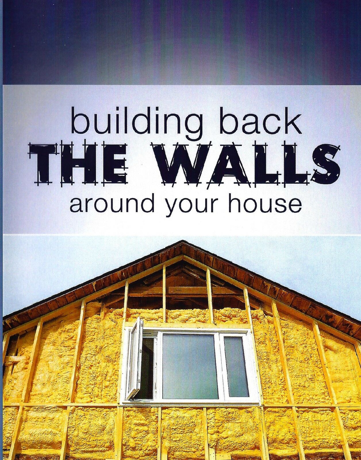 Building Back The Walls Around Your House DVD - T D Jakes